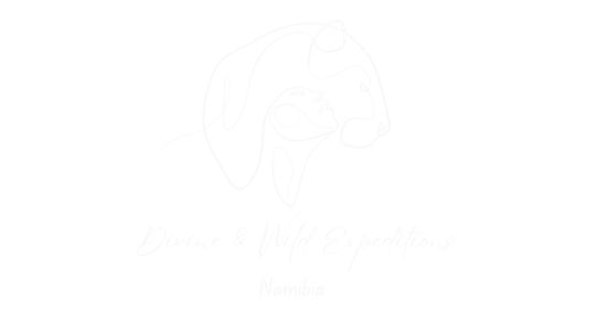 Divine & Wild Expeditions — Okmedia client, Namibia