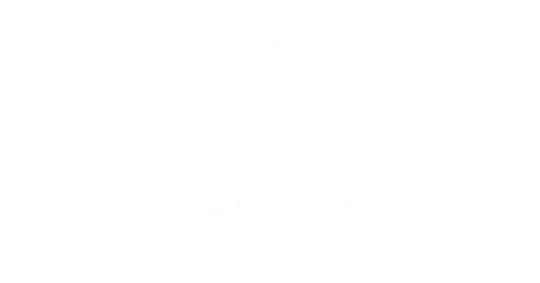 Sandwich Harbour 4x4 — Okmedia client, Namibia