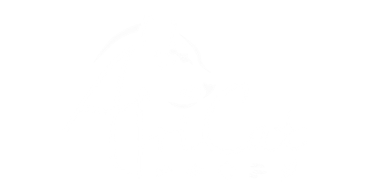 AfriCat Foundation